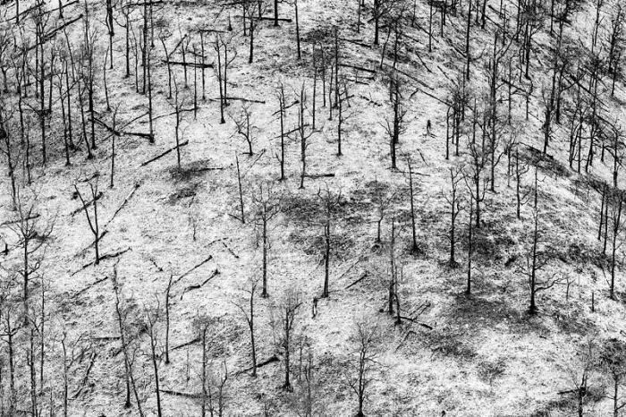 El mundo rural como nunca antes lo habías visto (FOTOS)