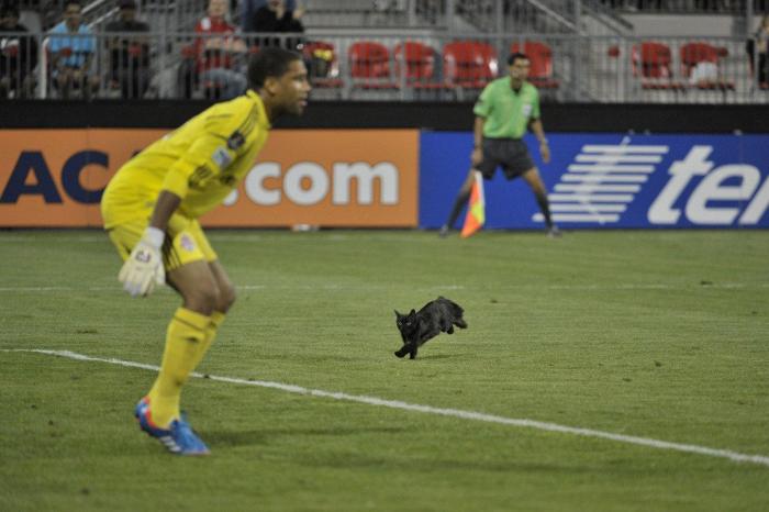 El último baile: la camiseta para sentirte como Michael Jordan por menos de 20 euros