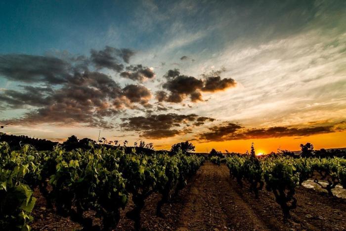 El mundo rural como nunca antes lo habías visto (FOTOS)