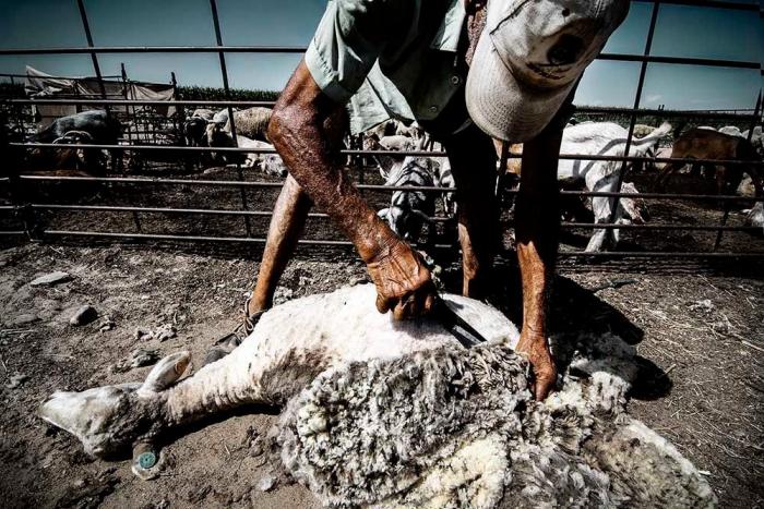 El mundo rural como nunca antes lo habías visto (FOTOS)