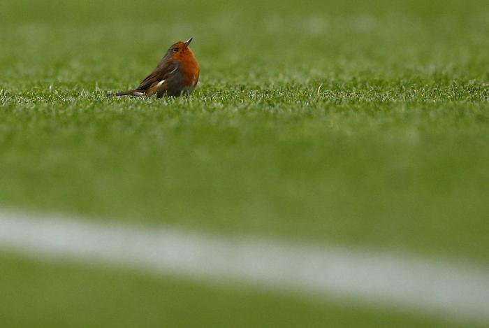 El último baile: la camiseta para sentirte como Michael Jordan por menos de 20 euros