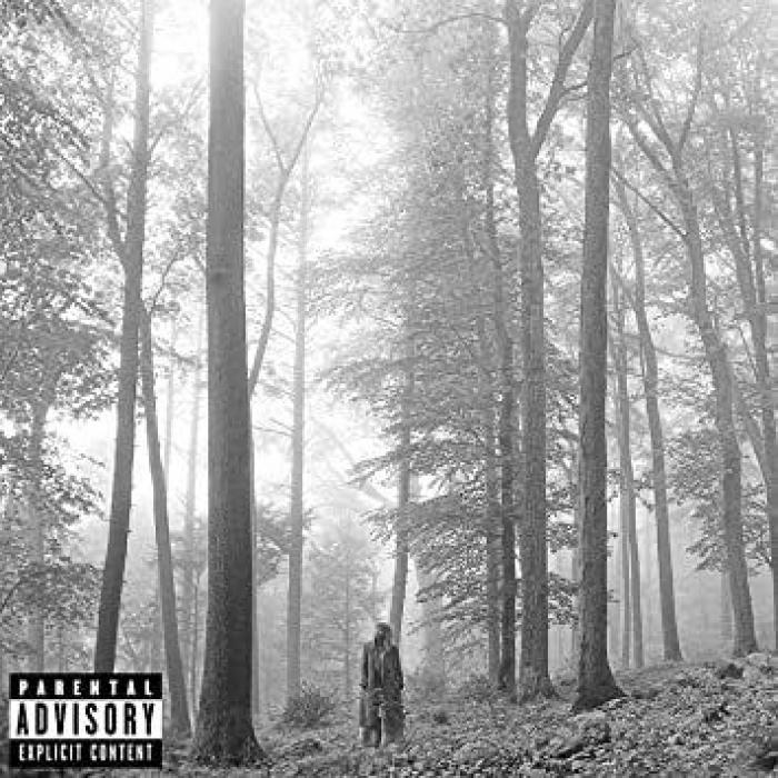 El año que The Beatles, Bob Dylan y The Rolling Stones cambiaron la música y la cultura