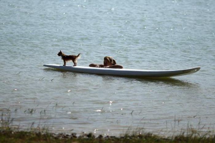 Segunda ola de calor: 43 provincias en alerta por temperaturas superiores a 40º