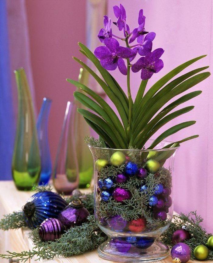 Árbol de Navidad: el dilema de todos los años (FOTOS)