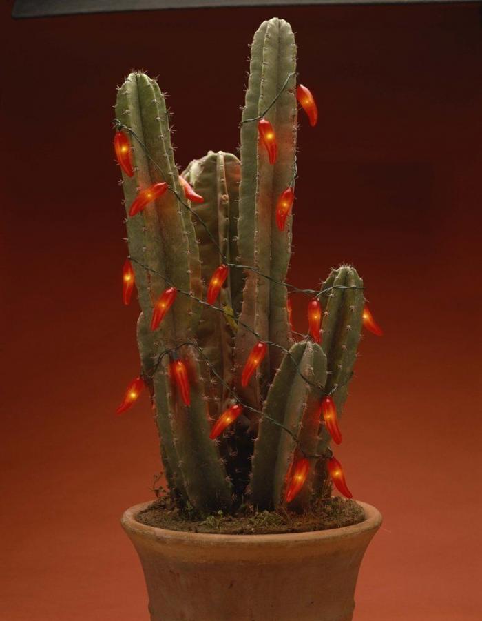 Árbol de Navidad: el dilema de todos los años (FOTOS)