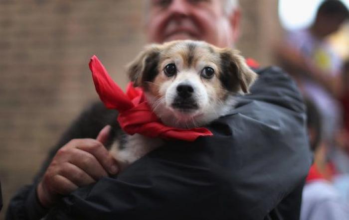 Pamplona se queda sin Sanfermines por segundo año consecutivo debido a la pandemia