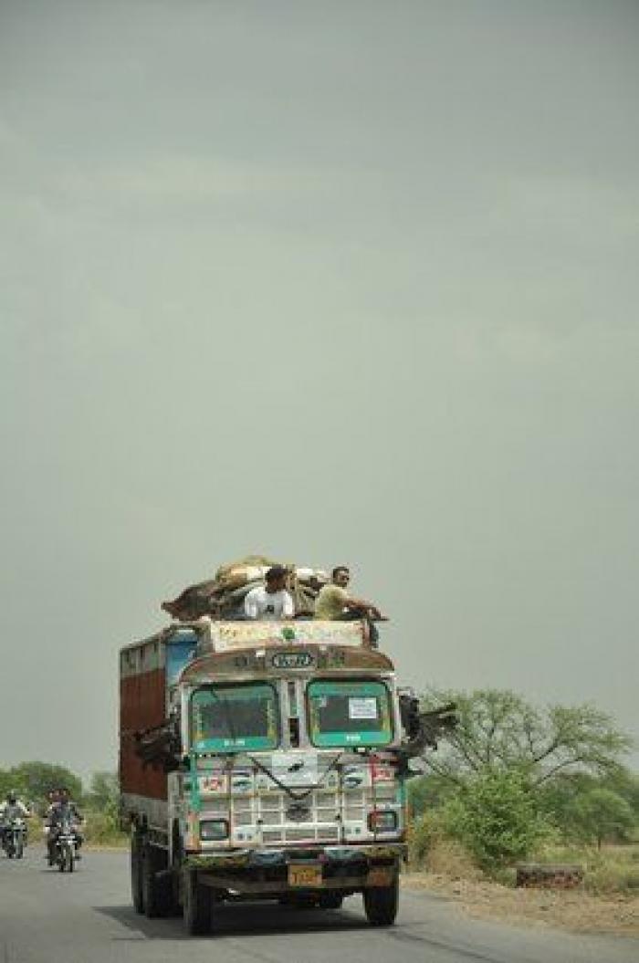El elefante Raju llora tras ser rescatado después de 50 años de abusos y cadenas (VÍDEO, FOTOS)