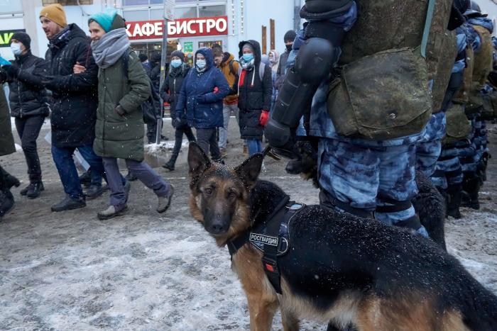 Amnistía denuncia la "persecución despiadada" de los seguidores de Navalny al año de su arresto