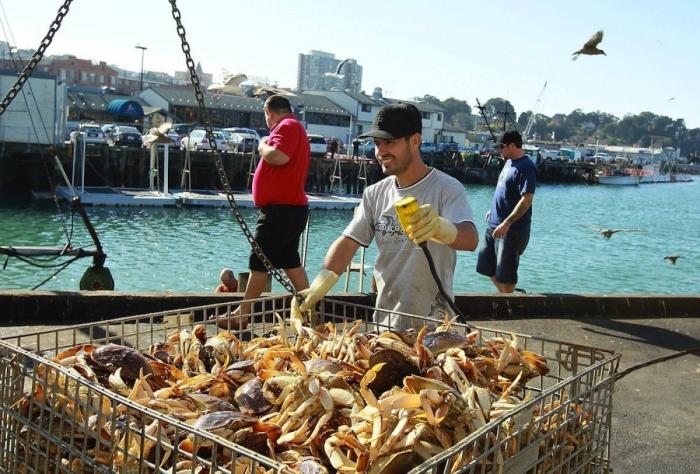 13 razones por las que no pisar una piscina pública en verano