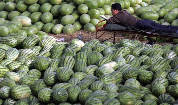 13 razones por las que no pisar una piscina pública en verano