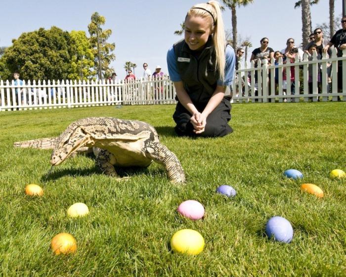 13 razones por las que no pisar una piscina pública en verano