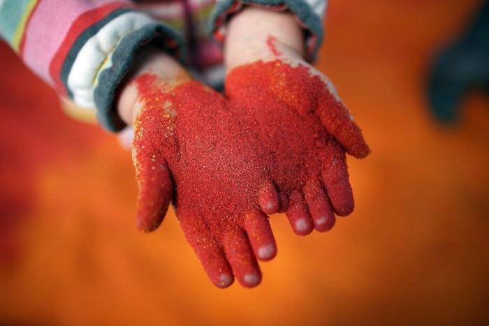 13 razones por las que no pisar una piscina pública en verano