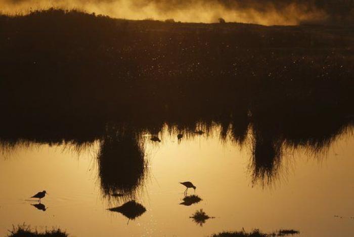 22 imágenes de la semana que no te puedes perder (FOTOS)