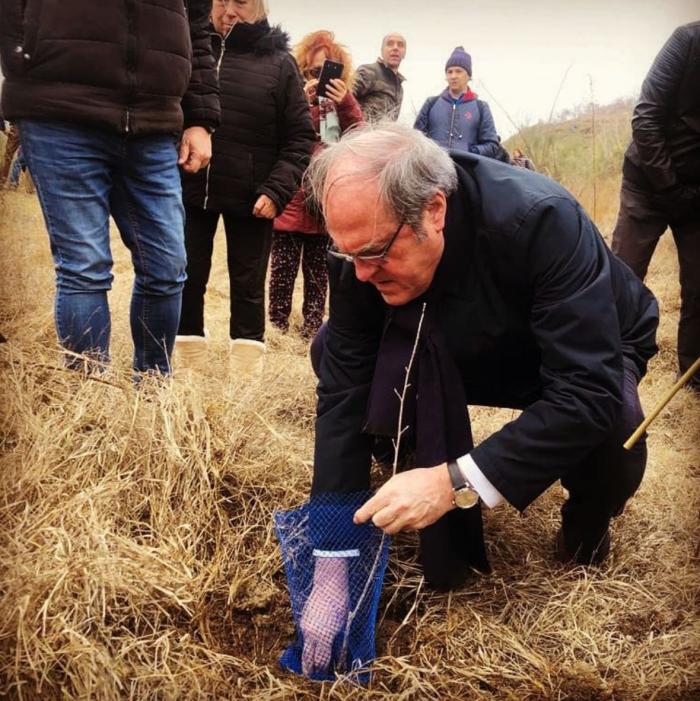 Madrid merece un análisis