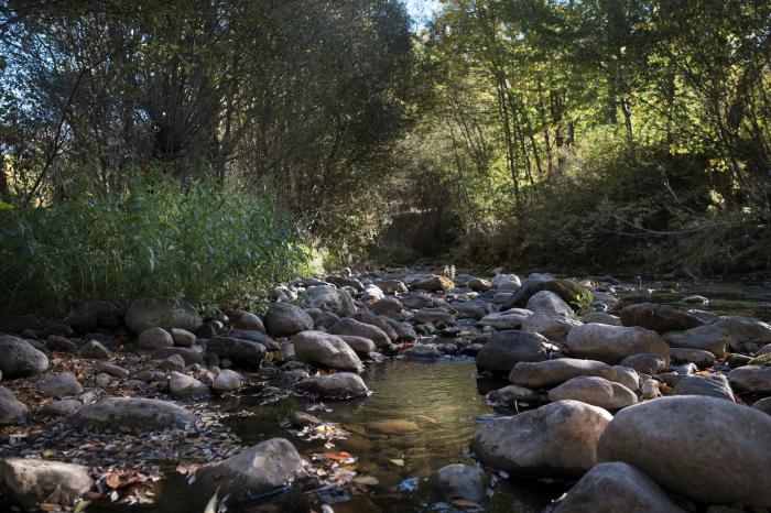 Pozos ilegales, falta de gestión y derroche: la sequía es algo más que la falta de lluvia