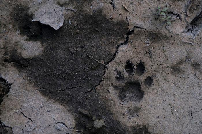 Pozos ilegales, falta de gestión y derroche: la sequía es algo más que la falta de lluvia