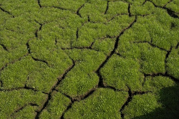Pozos ilegales, falta de gestión y derroche: la sequía es algo más que la falta de lluvia