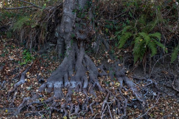 Pozos ilegales, falta de gestión y derroche: la sequía es algo más que la falta de lluvia