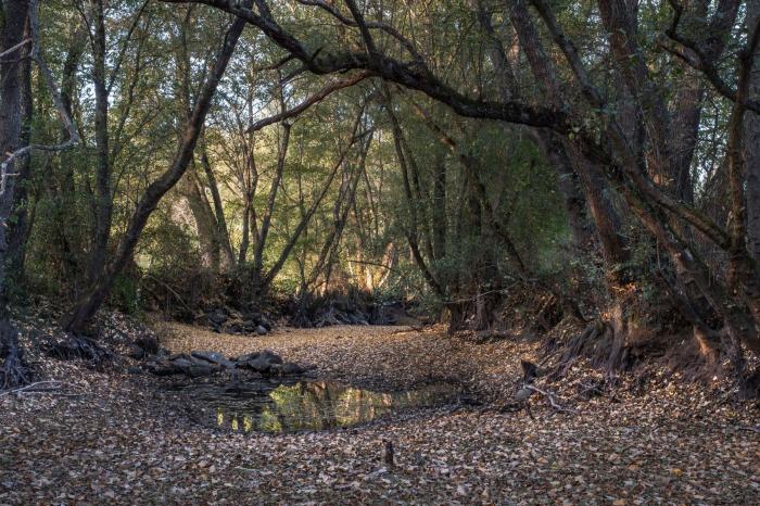 Pozos ilegales, falta de gestión y derroche: la sequía es algo más que la falta de lluvia