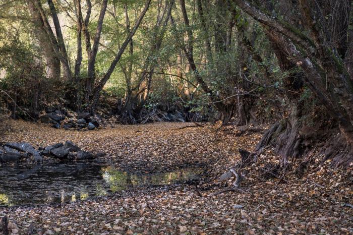 Pozos ilegales, falta de gestión y derroche: la sequía es algo más que la falta de lluvia
