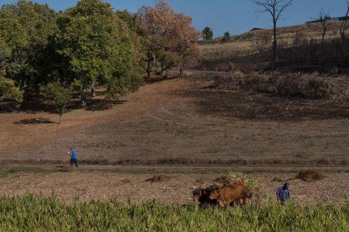 Pozos ilegales, falta de gestión y derroche: la sequía es algo más que la falta de lluvia