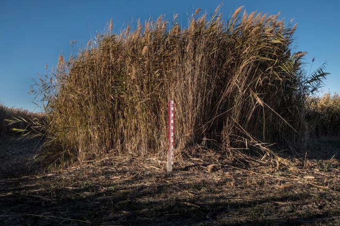 Pozos ilegales, falta de gestión y derroche: la sequía es algo más que la falta de lluvia