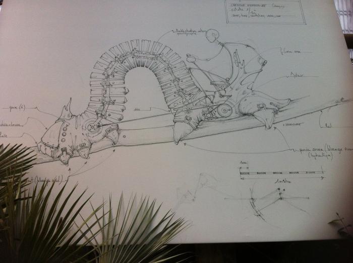 5 razones para ir a Nantes (FOTOS)