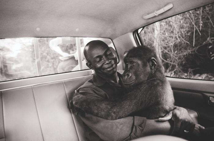 La Comisión Europea da un aviso a España por defectos en la protección de los animales de laboratorio