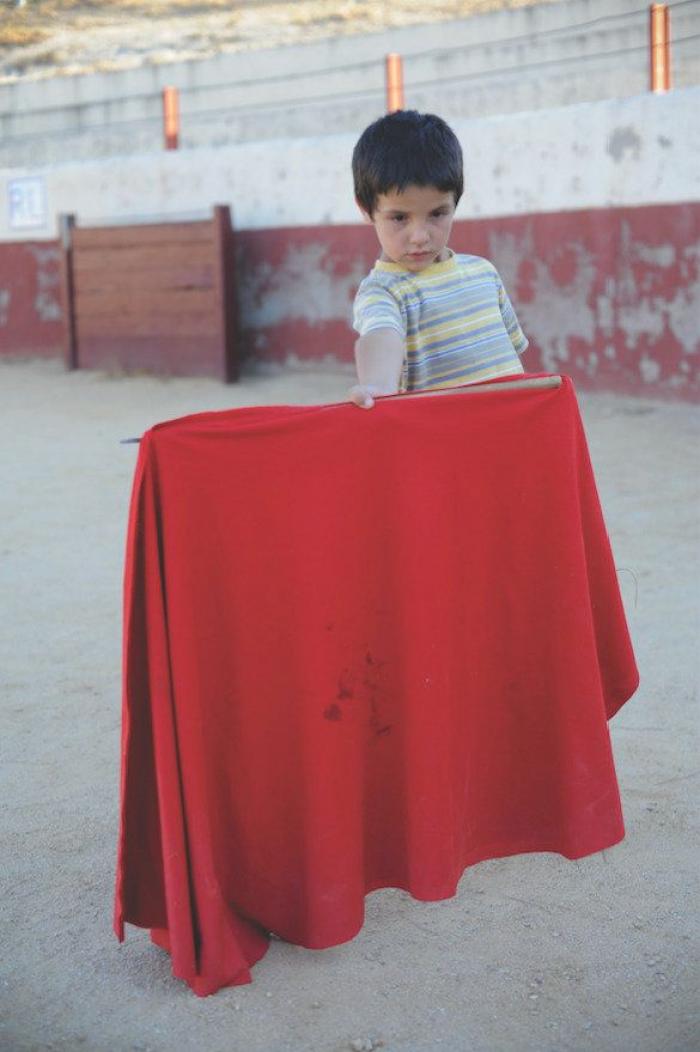 La Comisión Europea da un aviso a España por defectos en la protección de los animales de laboratorio