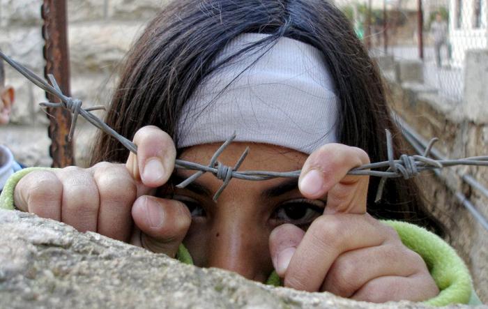 Vosotros, la esperanza