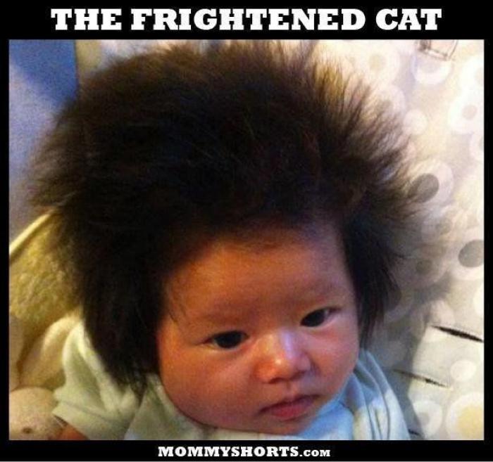 Cada mañana, esta conductora de autobús peina el pelo de una niña huérfana de madre