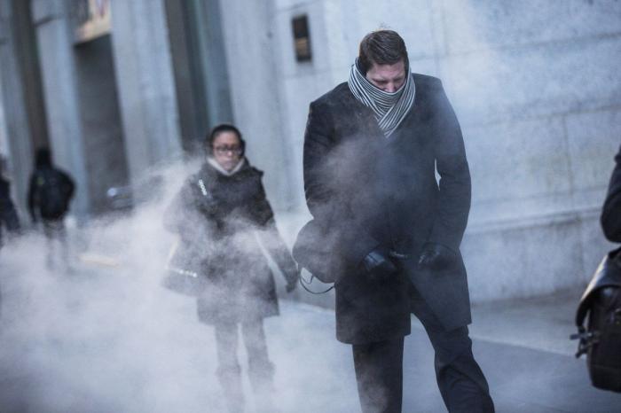 El consejo de la Policía Nacional sobre los gatos, el frío y los motores que triunfa en Twitter