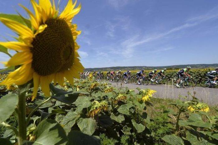 13 imágenes del Tour que te van a gustar aunque te aburra el ciclismo (FOTOS)