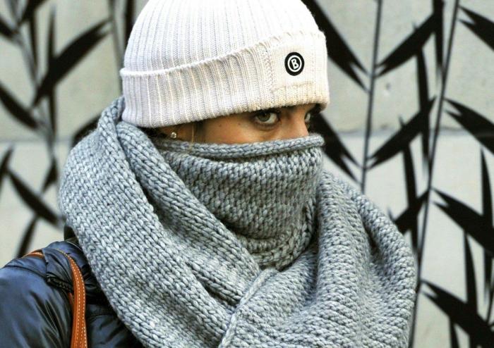 El consejo de la Policía Nacional sobre los gatos, el frío y los motores que triunfa en Twitter