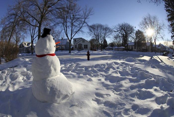 El consejo de la Policía Nacional sobre los gatos, el frío y los motores que triunfa en Twitter