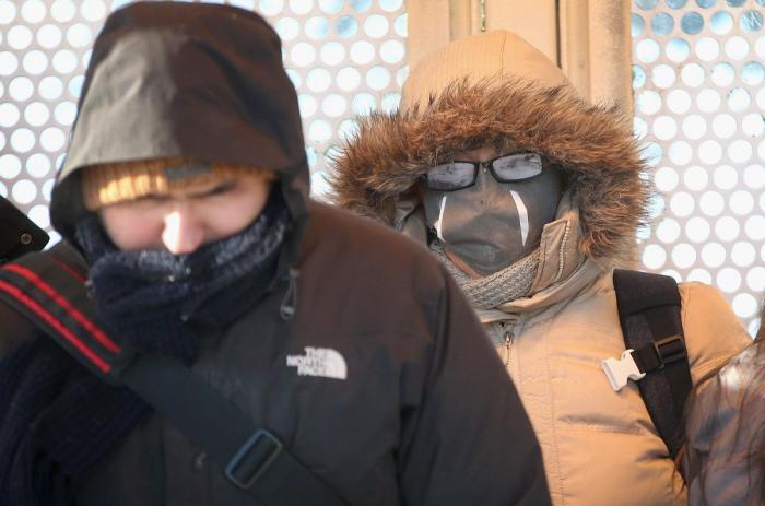 El consejo de la Policía Nacional sobre los gatos, el frío y los motores que triunfa en Twitter