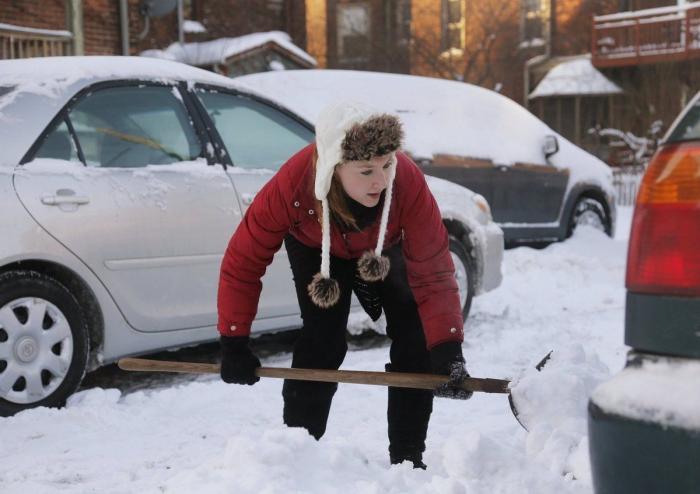 El consejo de la Policía Nacional sobre los gatos, el frío y los motores que triunfa en Twitter
