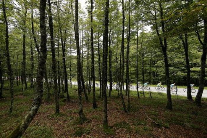 13 imágenes del Tour que te van a gustar aunque te aburra el ciclismo (FOTOS)