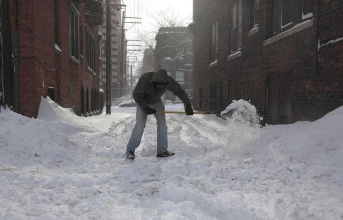 El consejo de la Policía Nacional sobre los gatos, el frío y los motores que triunfa en Twitter