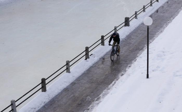 El consejo de la Policía Nacional sobre los gatos, el frío y los motores que triunfa en Twitter