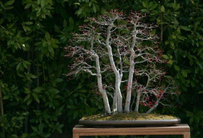 Un ciudadano, contra Felipe González: "¡Hacen falta soluciones, hay hambre!" (VÍDEO)