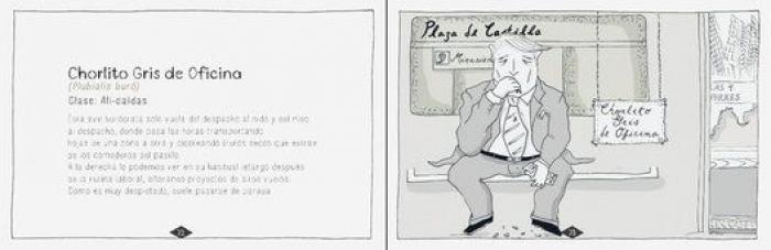 Aves Metropolitanas: siete clases de personas que verás en Madrid este verano (VIÑETAS)