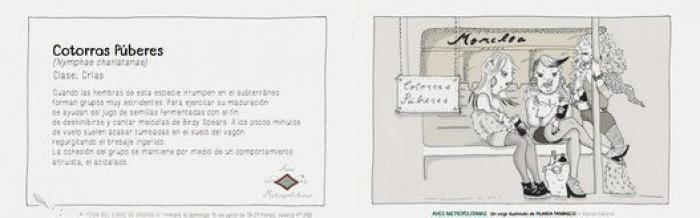 Aves Metropolitanas: siete clases de personas que verás en Madrid este verano (VIÑETAS)