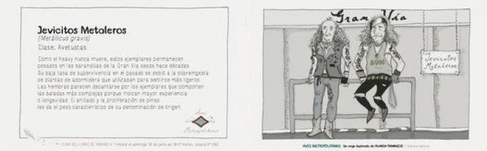 Aves Metropolitanas: siete clases de personas que verás en Madrid este verano (VIÑETAS)