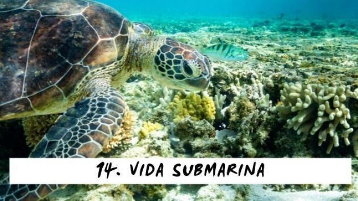 Esta auténtica fantasía hace que todo el mundo hable de Sabadell en Twitter