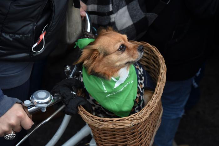 Macri afirma que el debate sobre el aborto va a "continuar" pese al rechazo del Senado