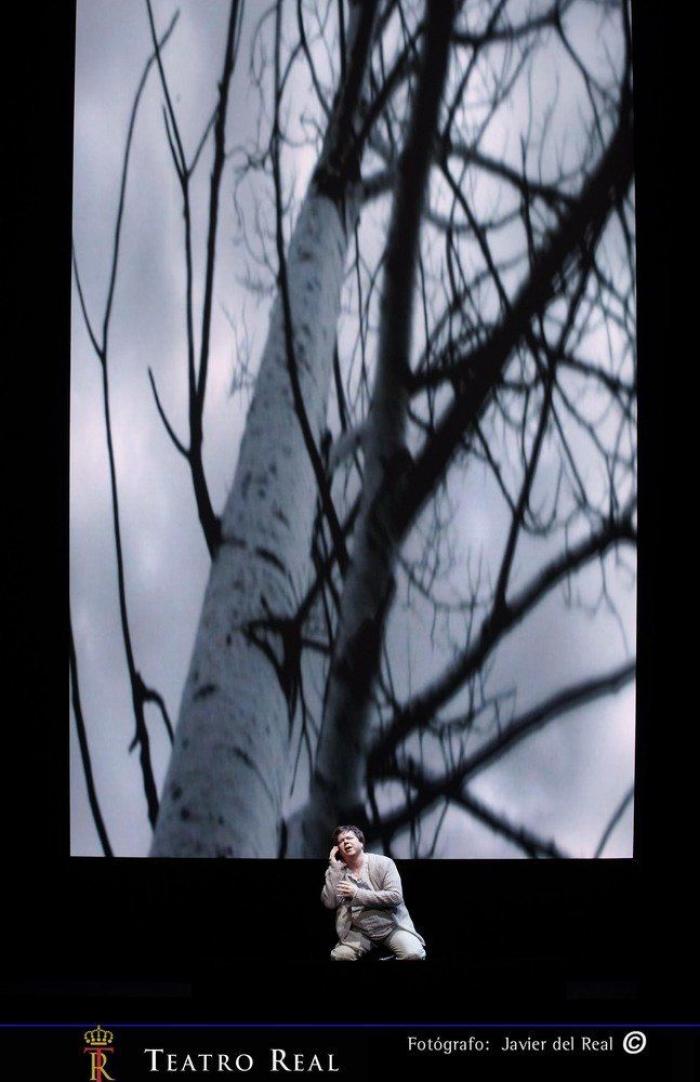 El VideoWagner funciona