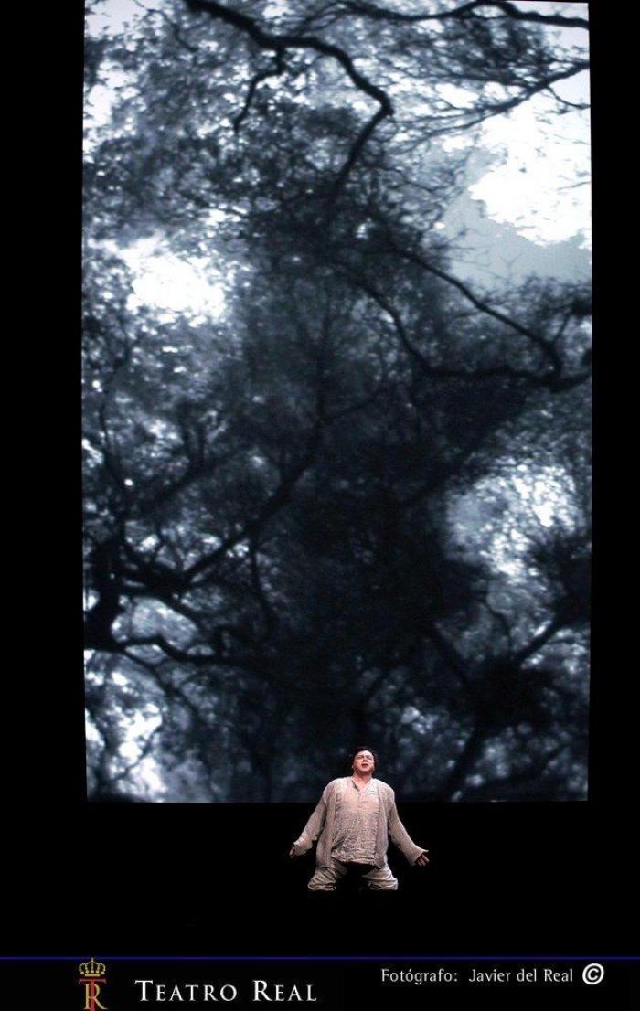 El VideoWagner funciona