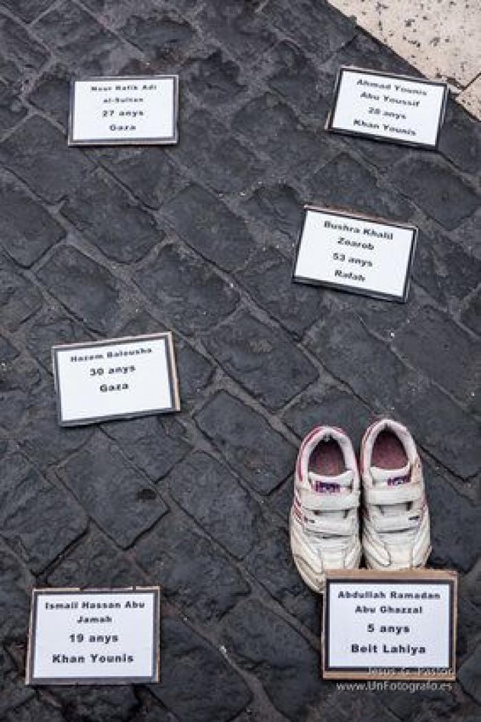 Palestina declarará su independencia como Estado si Israel anexiona parte de Cisjordania