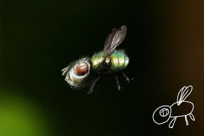 Dibujos infantiles hechos realidad: un artista holandés da vida a sus garabatos (FOTOS)